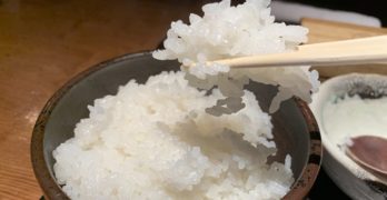 八代目儀兵衛の釜炊き白ご飯