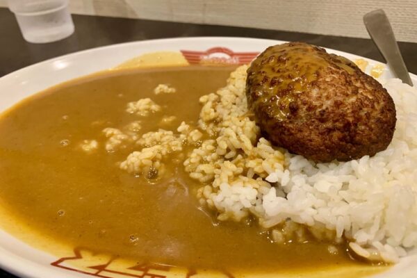 マドラスカレー千日前店のマドラスカレー近影