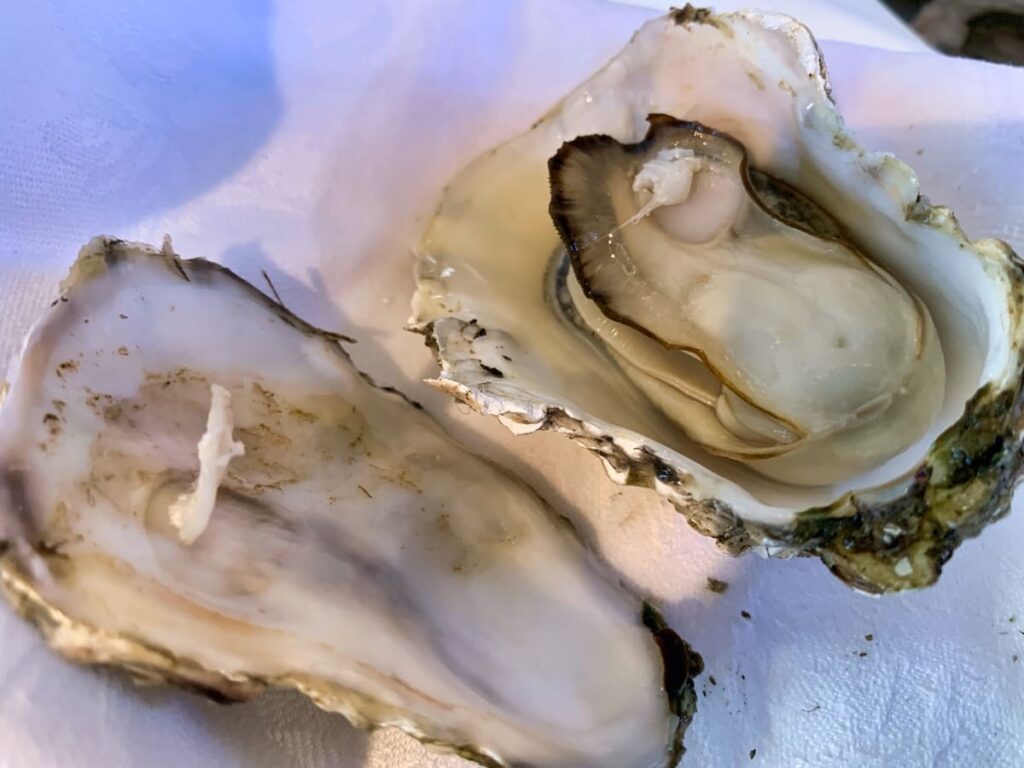 つばめグリル品川本店の佐呂間産牡蠣実食