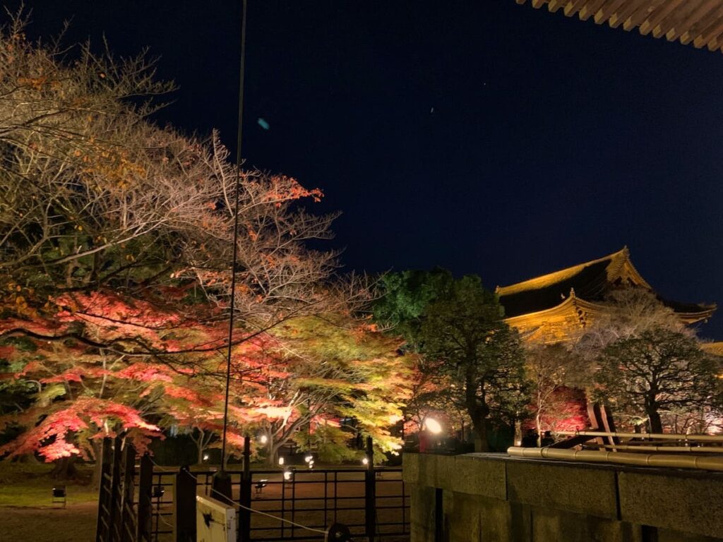 東寺 13