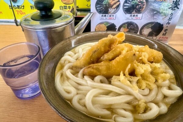 牧のうどん 加布里本店のごぼう天うどん1