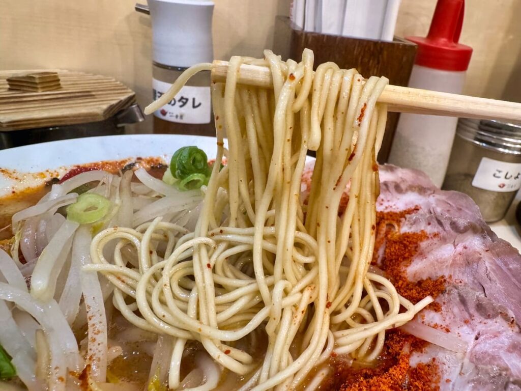 博多一幸舎 京都拉麺小路店の京都スペシャル 麺