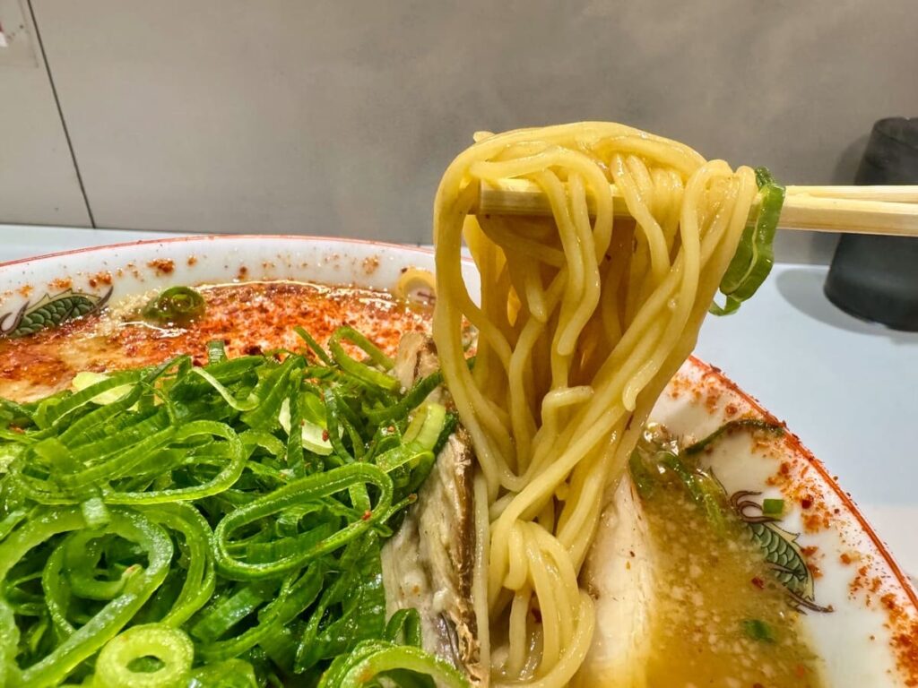 ラーメンタンポポのチャーシューメン(特) 麺