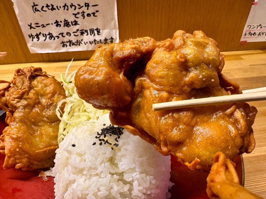フライヤーフライヤーのでっかいからあげ定食ダブル 実食1