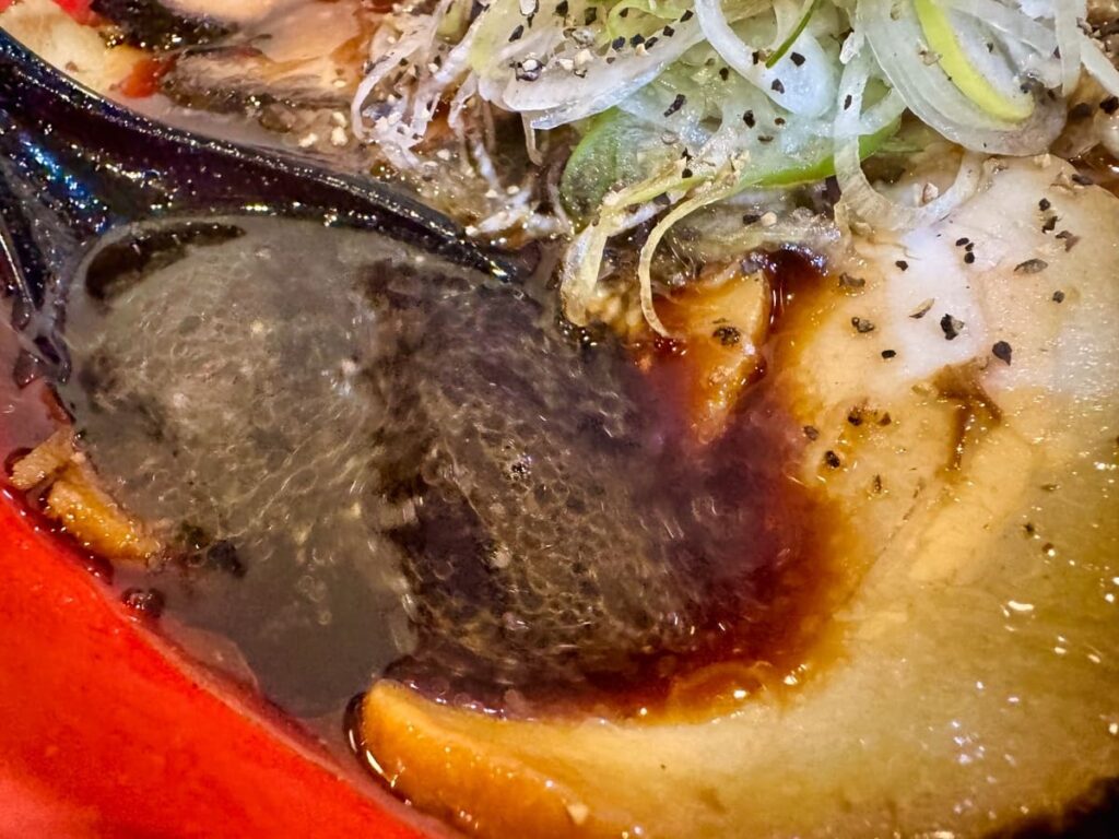 麺家いろは 京都駅ビル店の富山ブラック肉盛り スープ