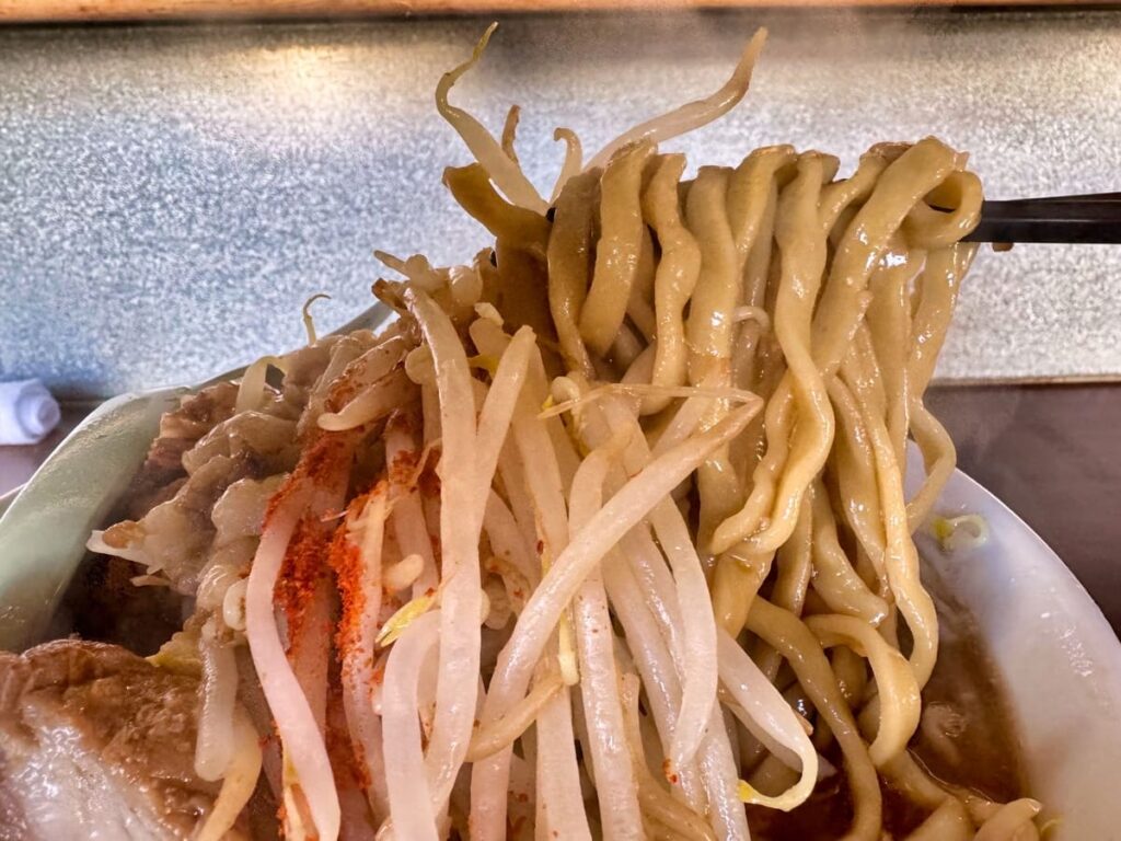 ラーメン荘地球規模で考えろ 未来へのラーメン並 麺