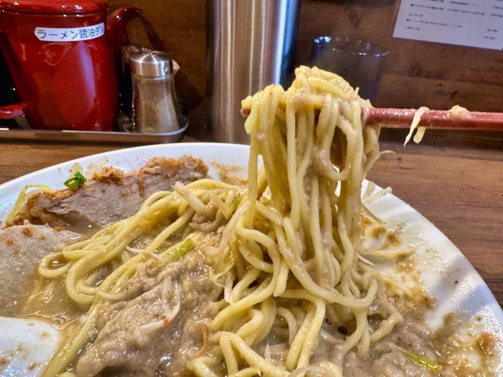 麺屋極鶏 円町店の海老だく(並) 麺